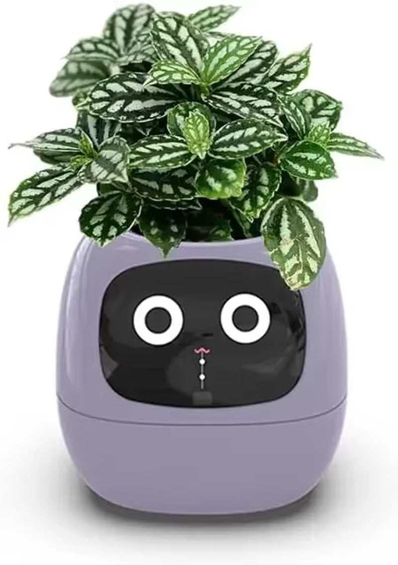 smart self-watering flowerpots