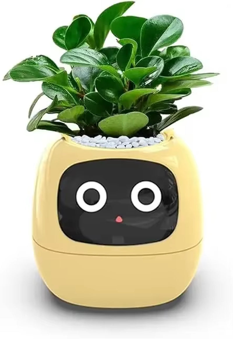 smart self-watering flowerpots