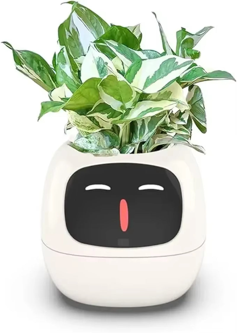 smart self-watering flowerpots