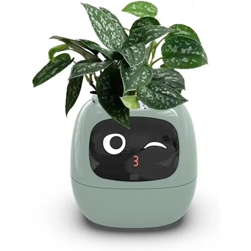 smart self-watering flowerpots