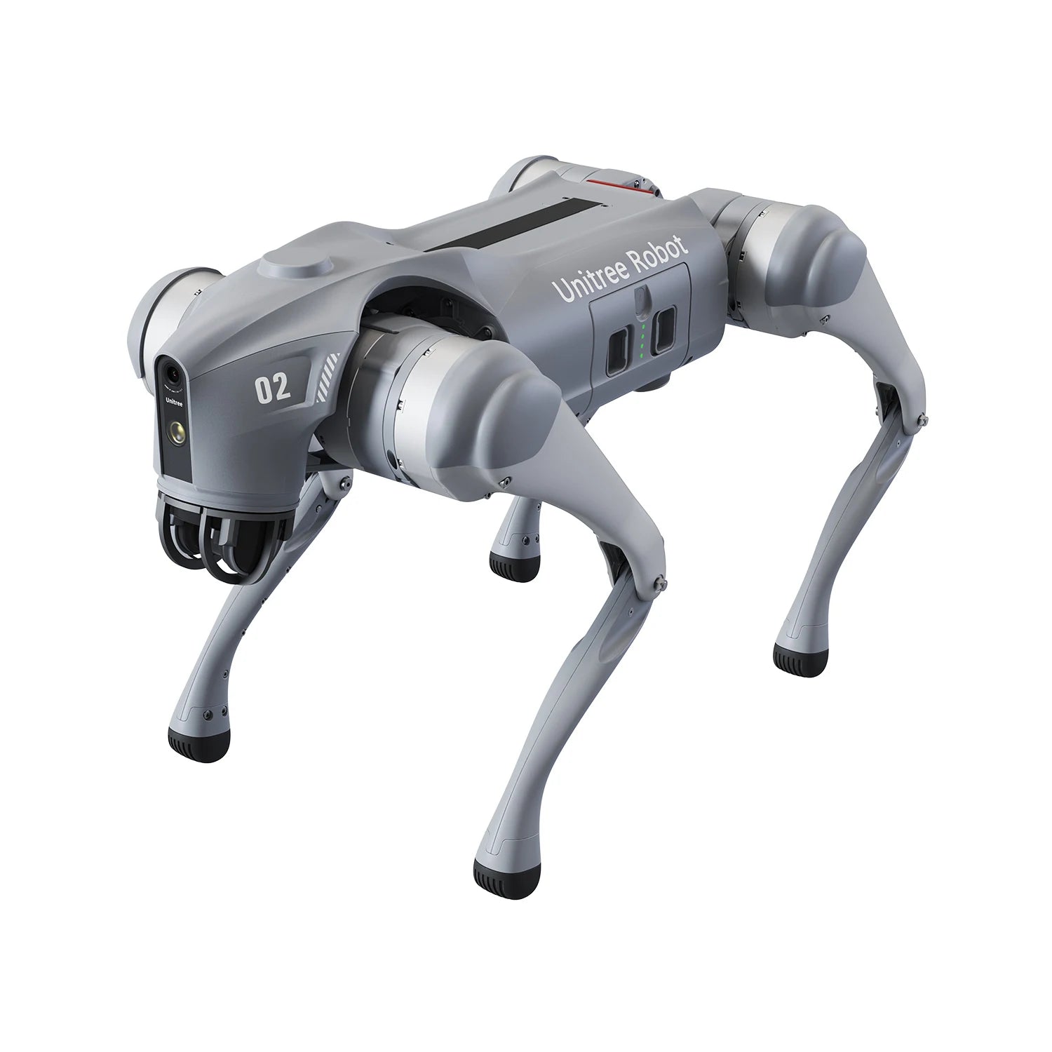 Quadruped Robot Dog Autonomous Walking Companion