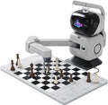 AI Chess Robot with Robotic Arm