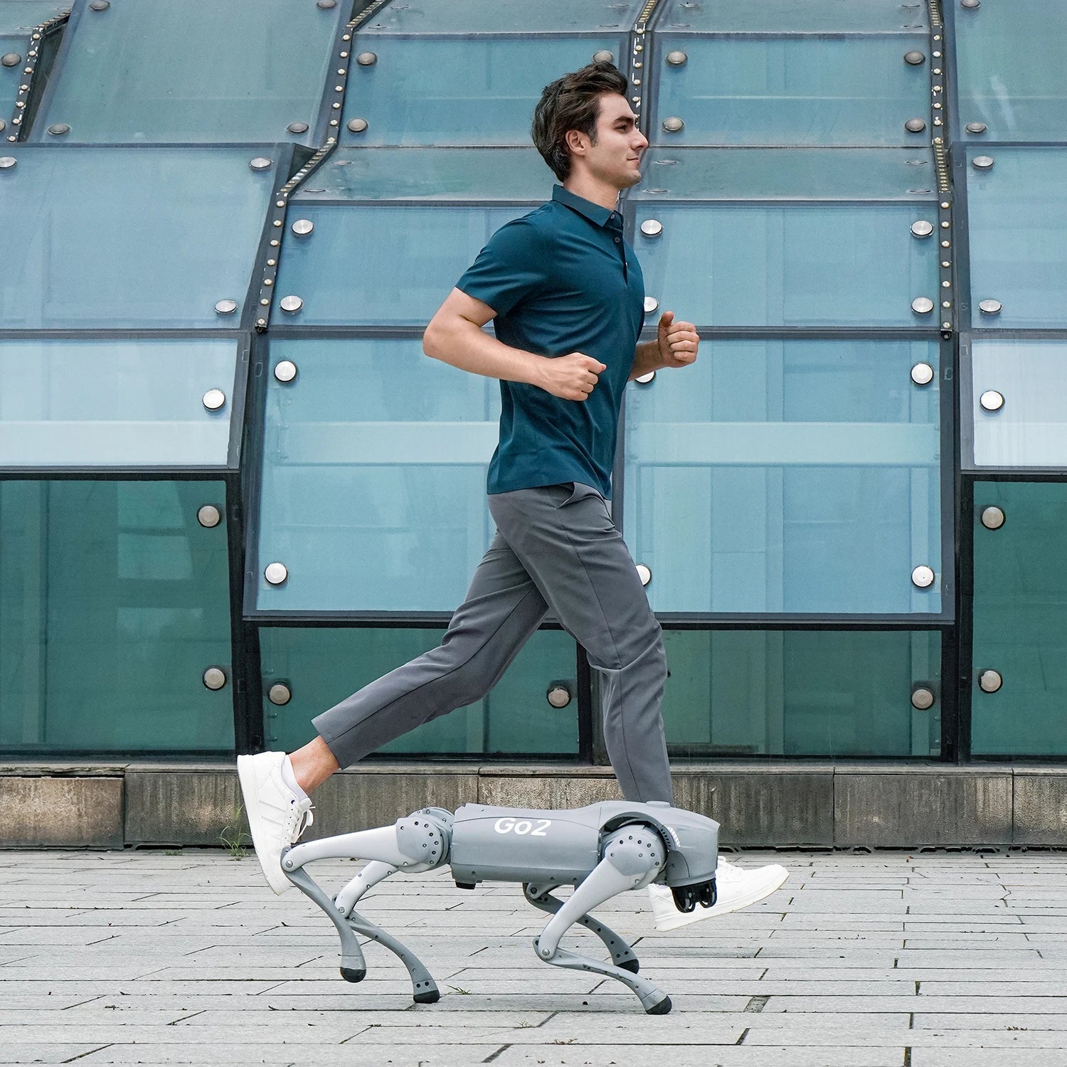 Quadruped Robot Dog Autonomous Walking Companion