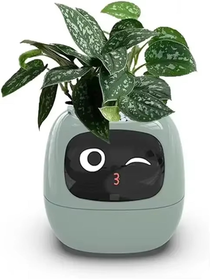 smart self-watering flowerpots