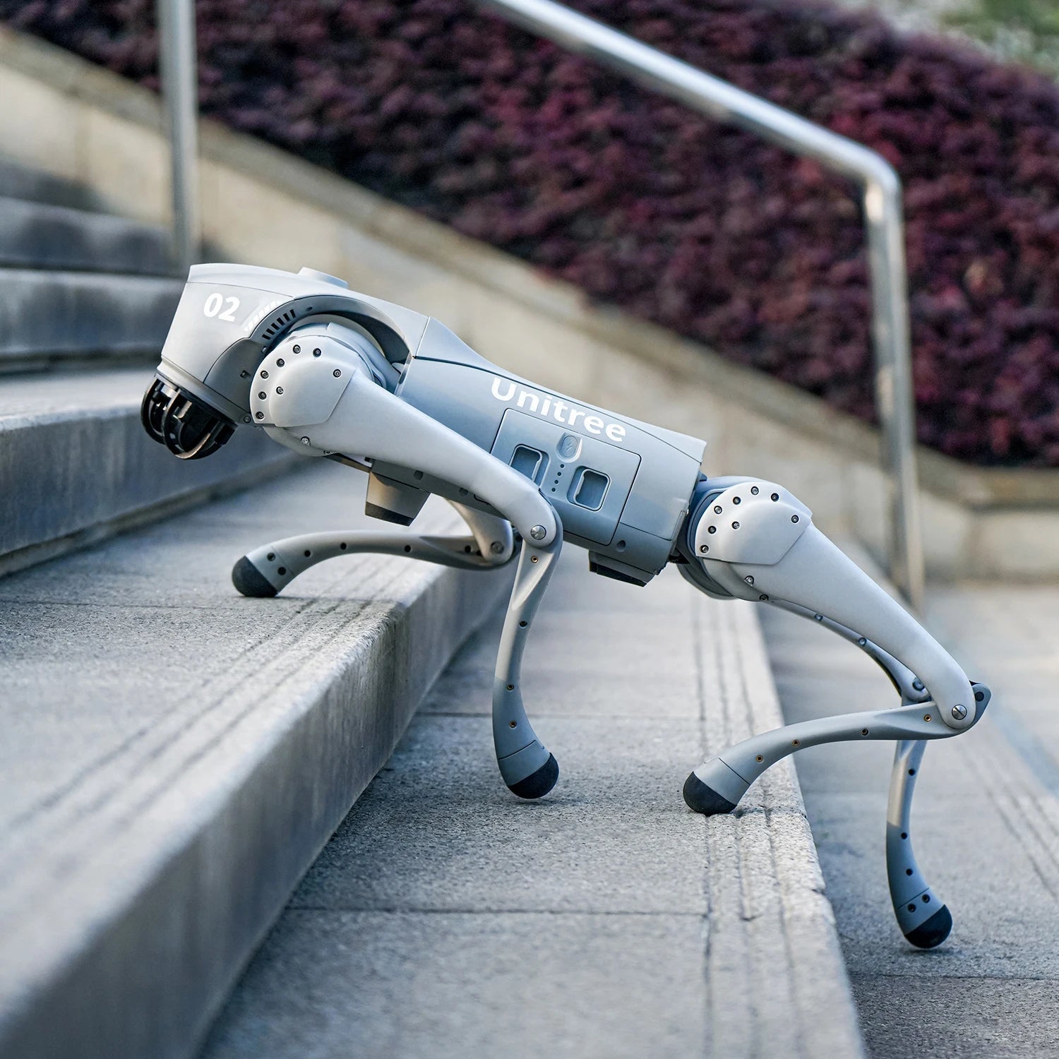 Quadruped Robot Dog Autonomous Walking Companion