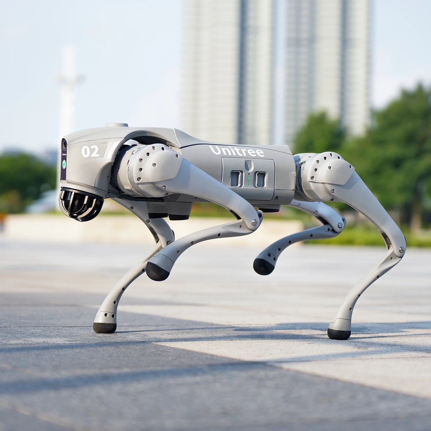 Quadruped Robot Dog Autonomous Walking Companion