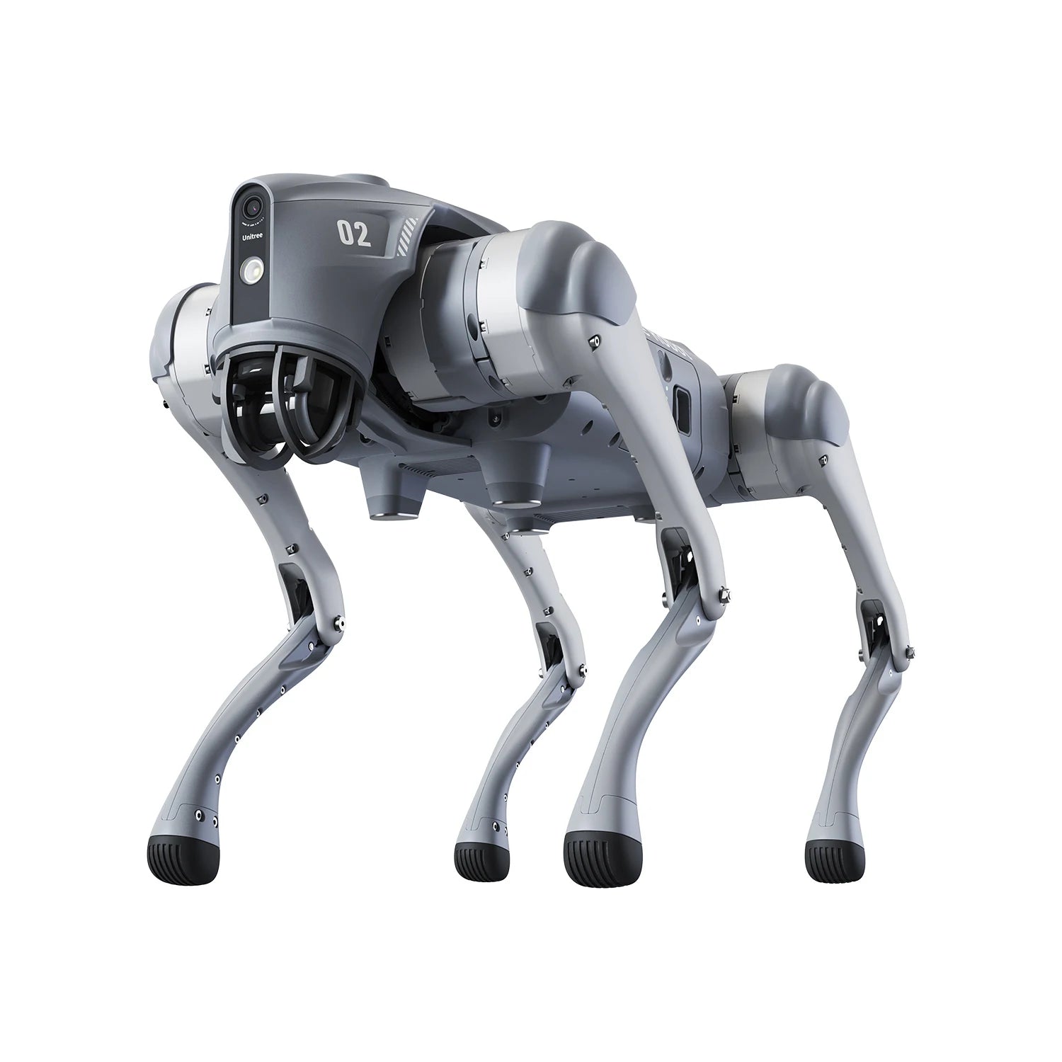 Quadruped Robot Dog Autonomous Walking Companion